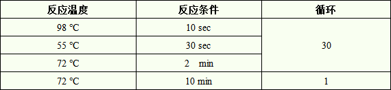 11.png