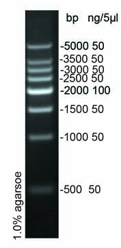 500bp DNA Ladder(500-5000)价格,详情介绍-960化工网 – 960化工网