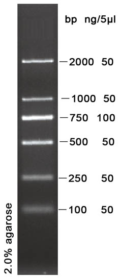 d2000 dna marker(100-2000)